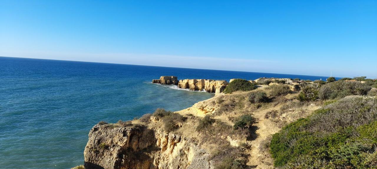 Les Jardins Da Gale 500m De La Plage Villa *